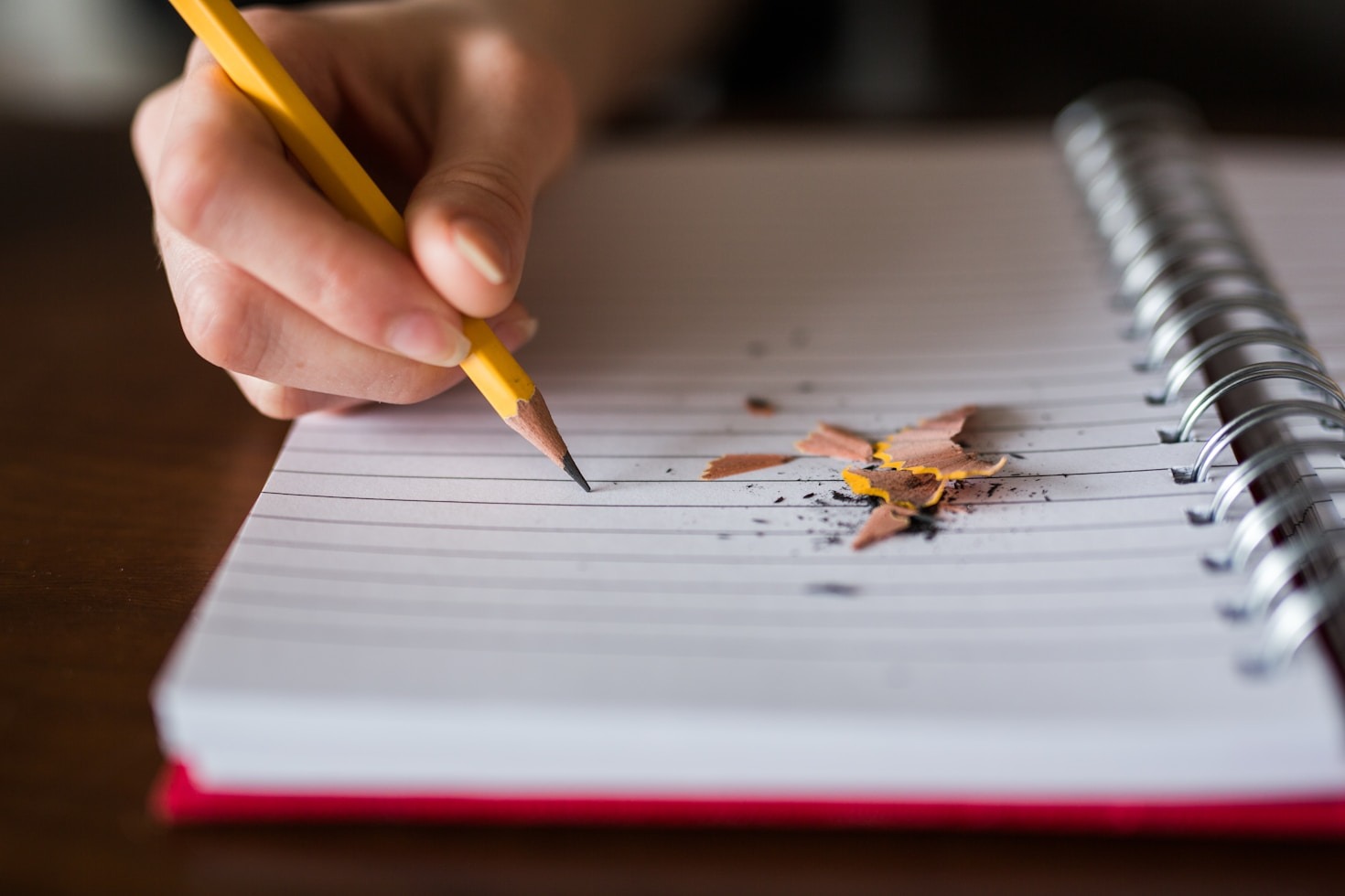 How Everyday Moments Inspire Big Ideas